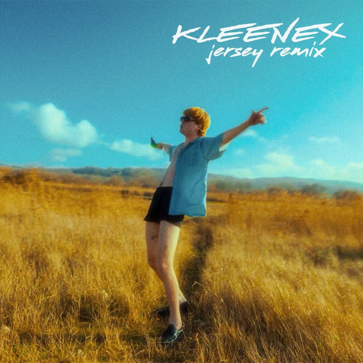 Album cover of Kleenex