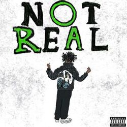 Cover of Not Real
