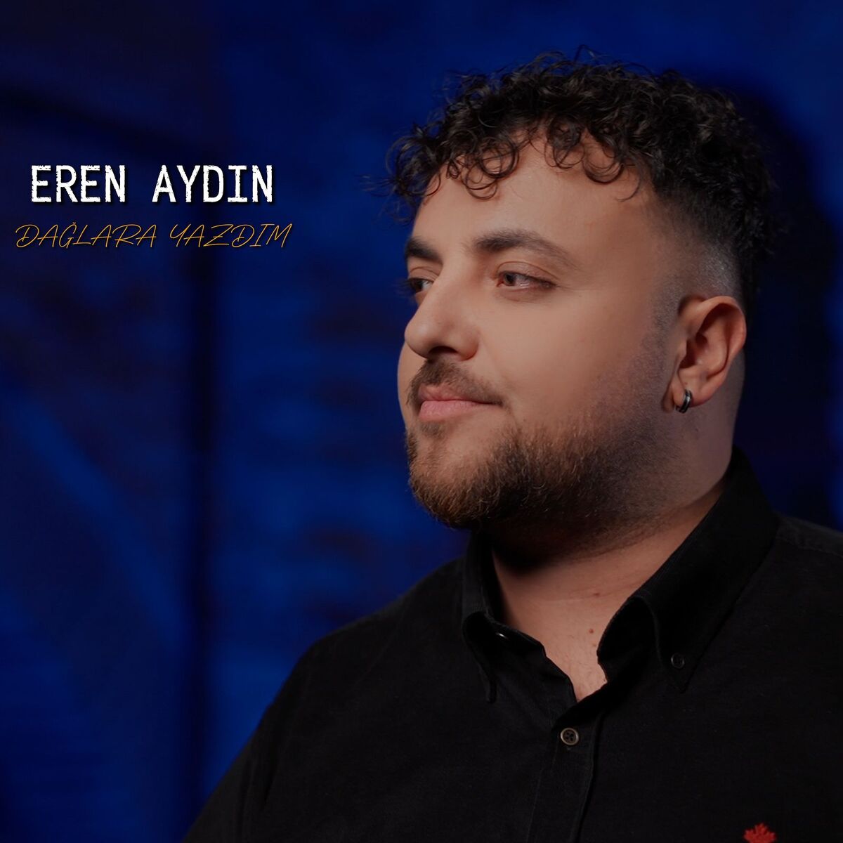 Album cover of Dağlara Yazdım