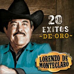 Cover of 20 Exitos De Oro