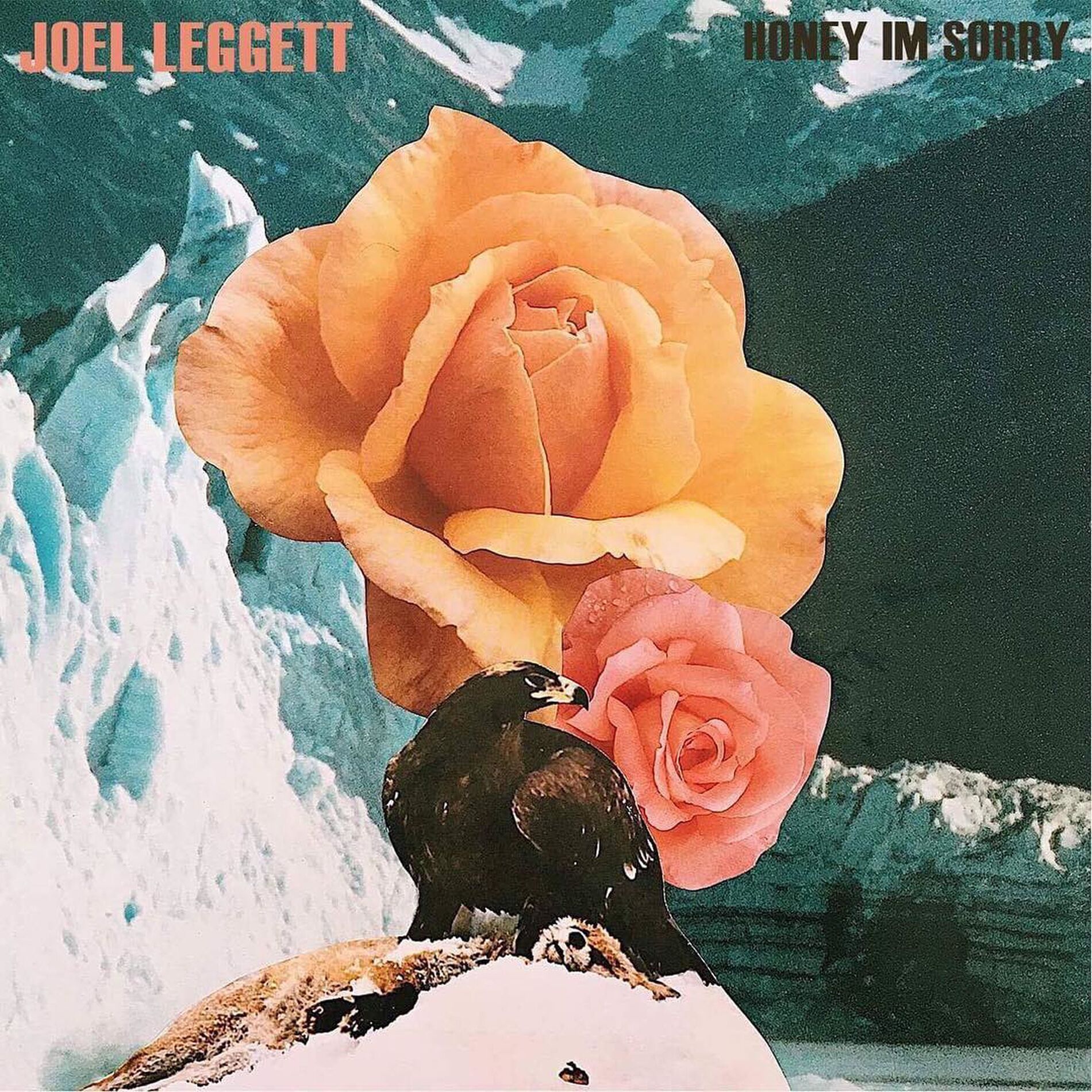 Album cover of Honey I'm Sorry (Acoustic)