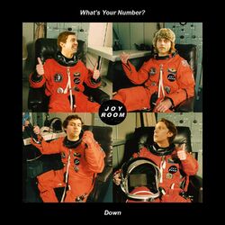 Cover of What's Your Number? / Down