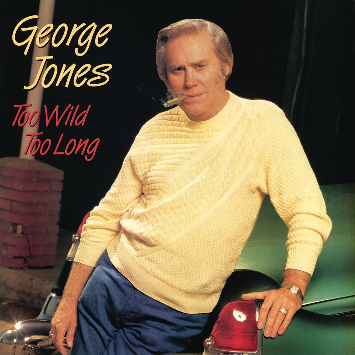 Album cover of The Bird