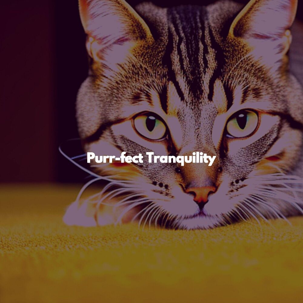 Picture of Purr-fect Tranquility