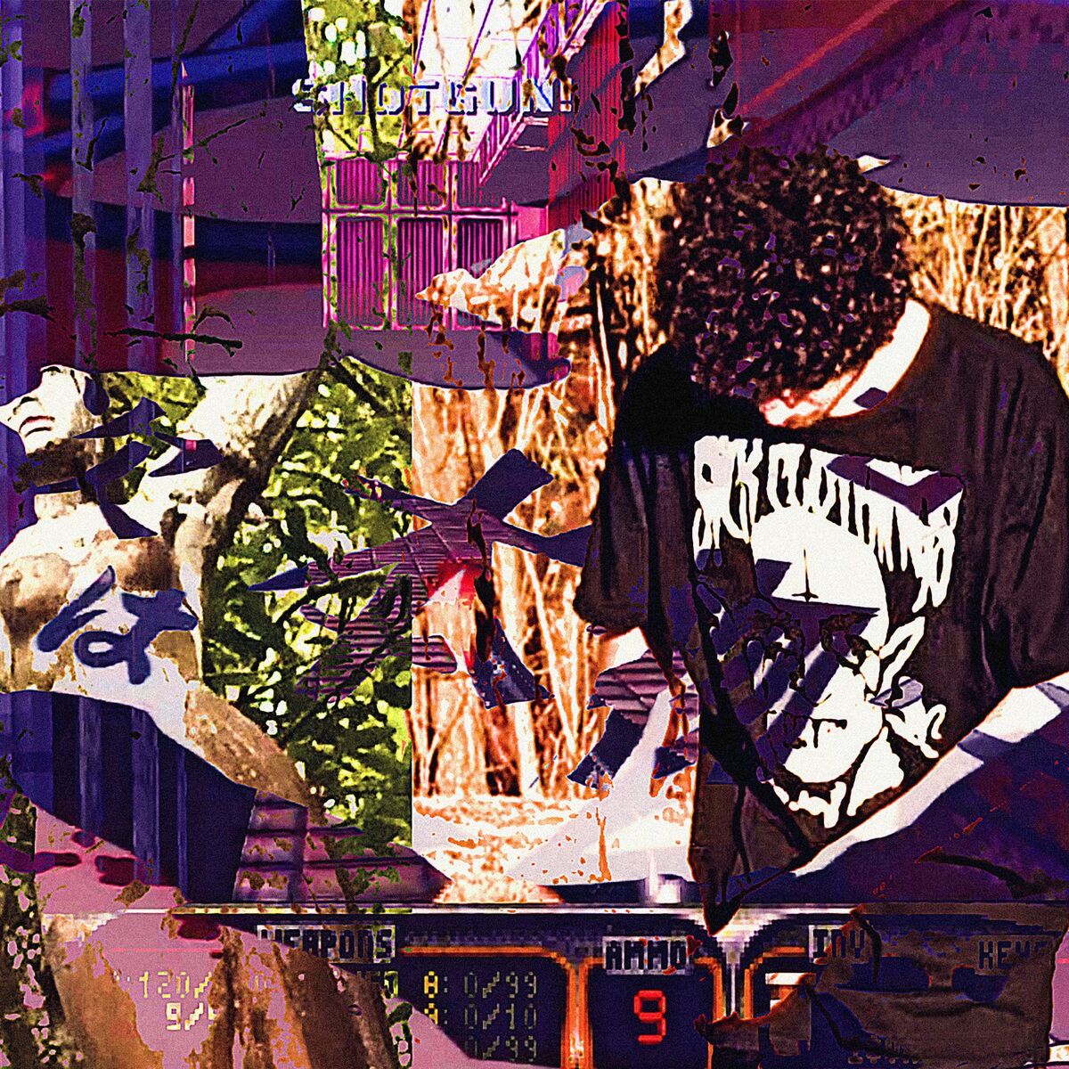 Album cover of Viver Rápido