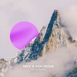 music cover