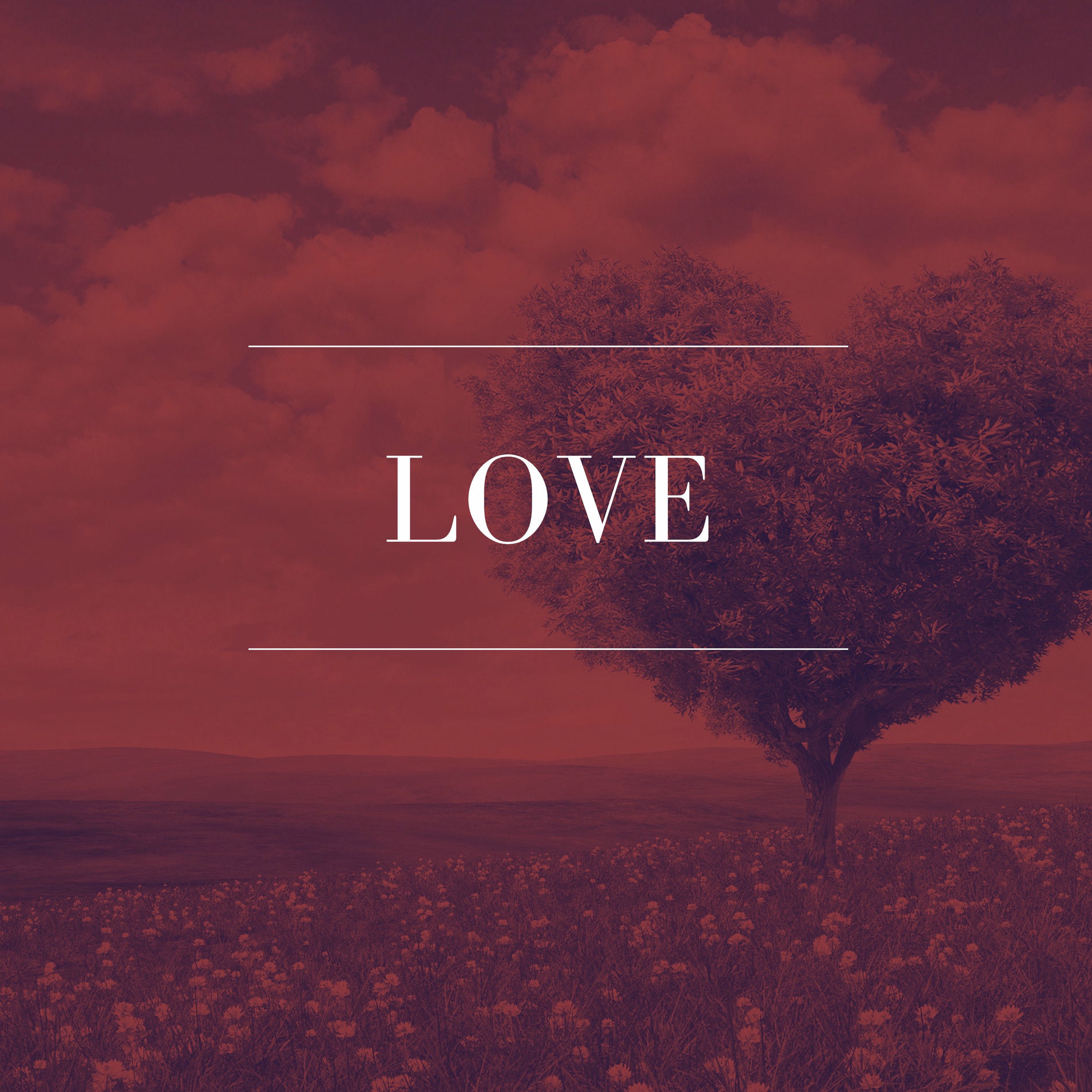 Album cover of Love