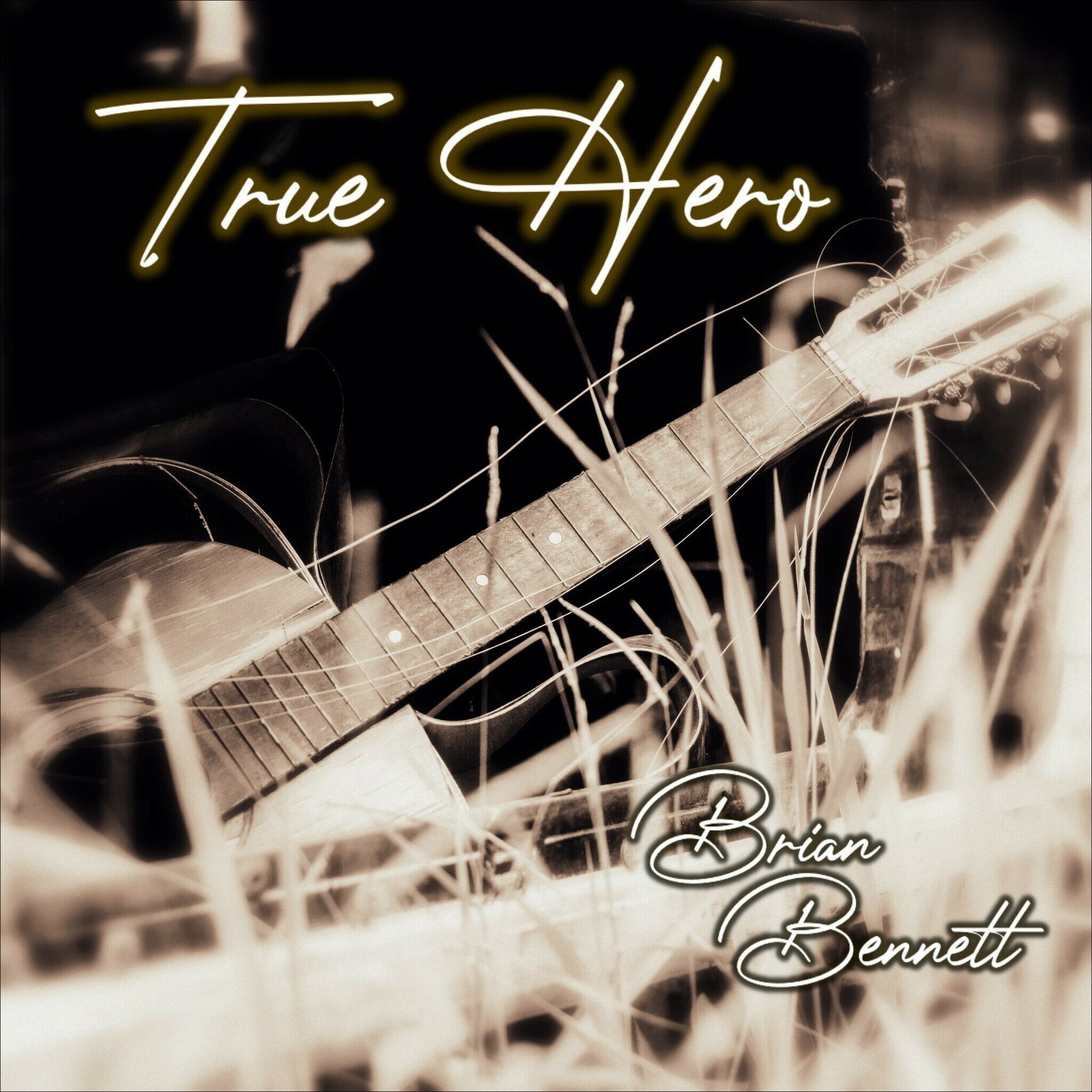 Album cover of True Hero