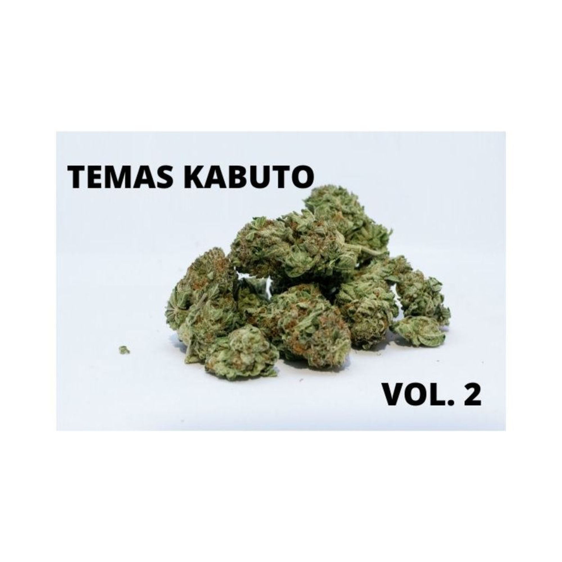 Album cover of Temas Kabuto, Vol. 2