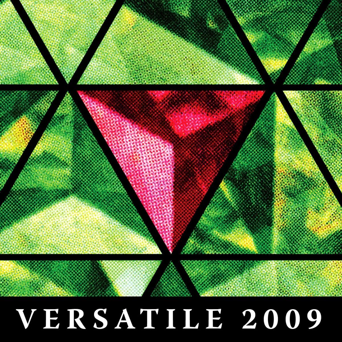 Album cover of Versatile 2009