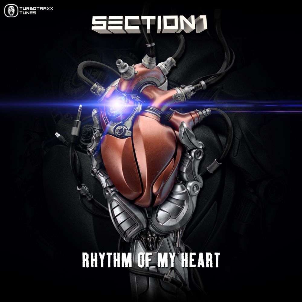 Picture of Rhythm Of My Heart