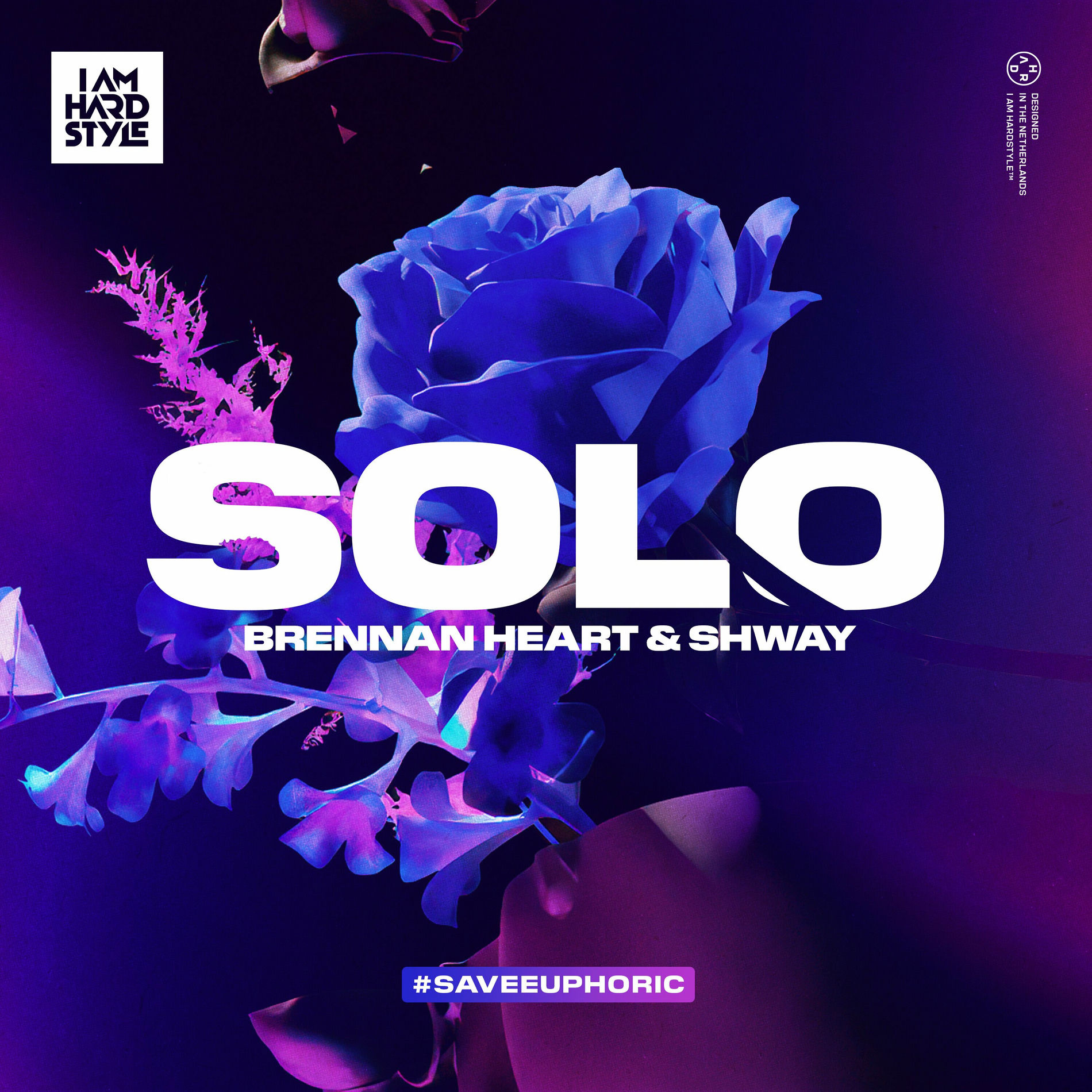 Album cover of Solo