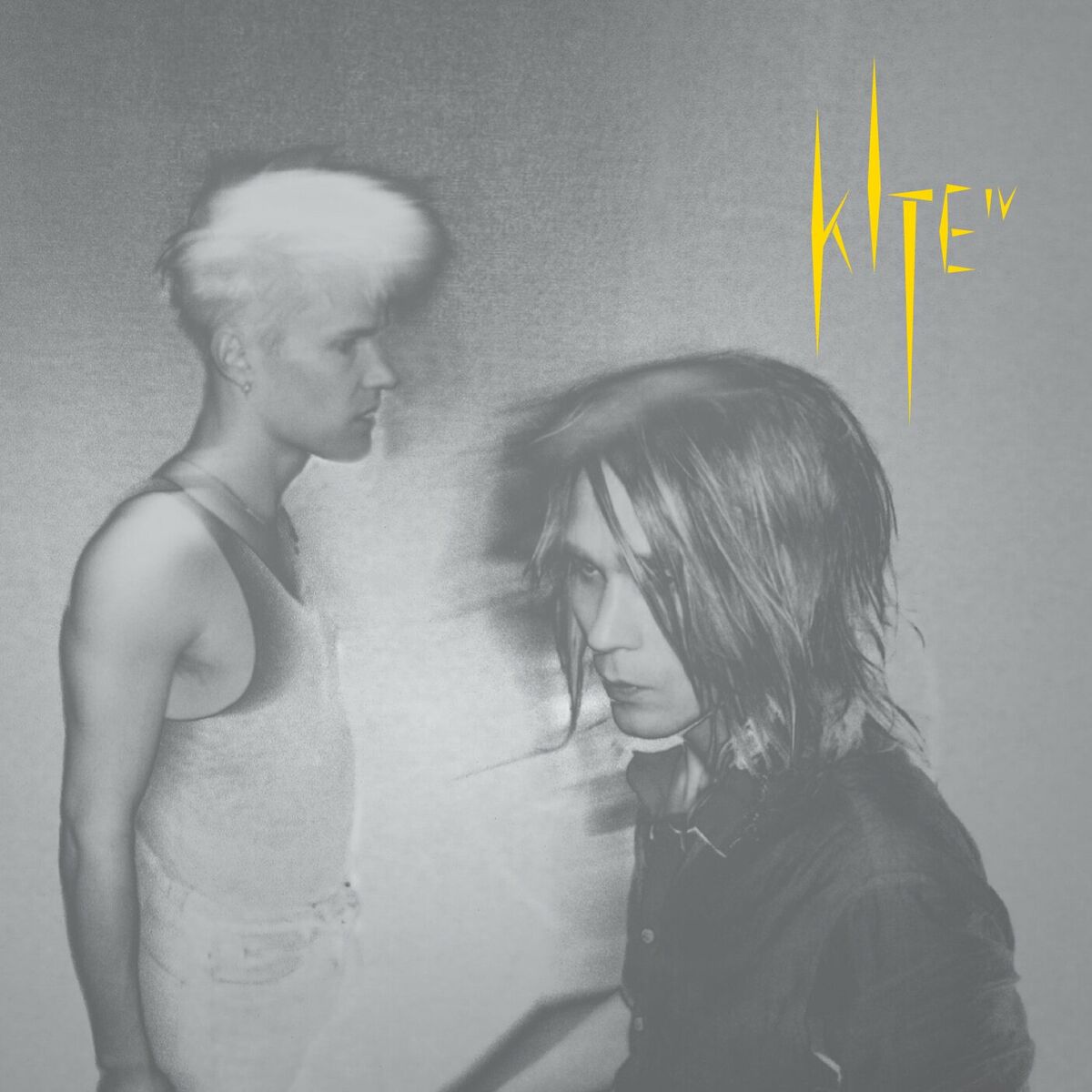Album cover of IV