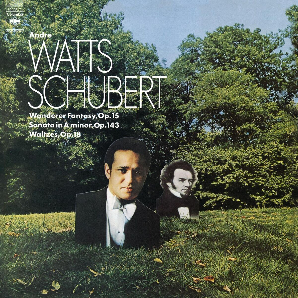 Album cover of Schubert: 38 Walzer, Ländler & Ecossaises, Piano Sonata No. 14 in A Minor & Fantasie in C Major