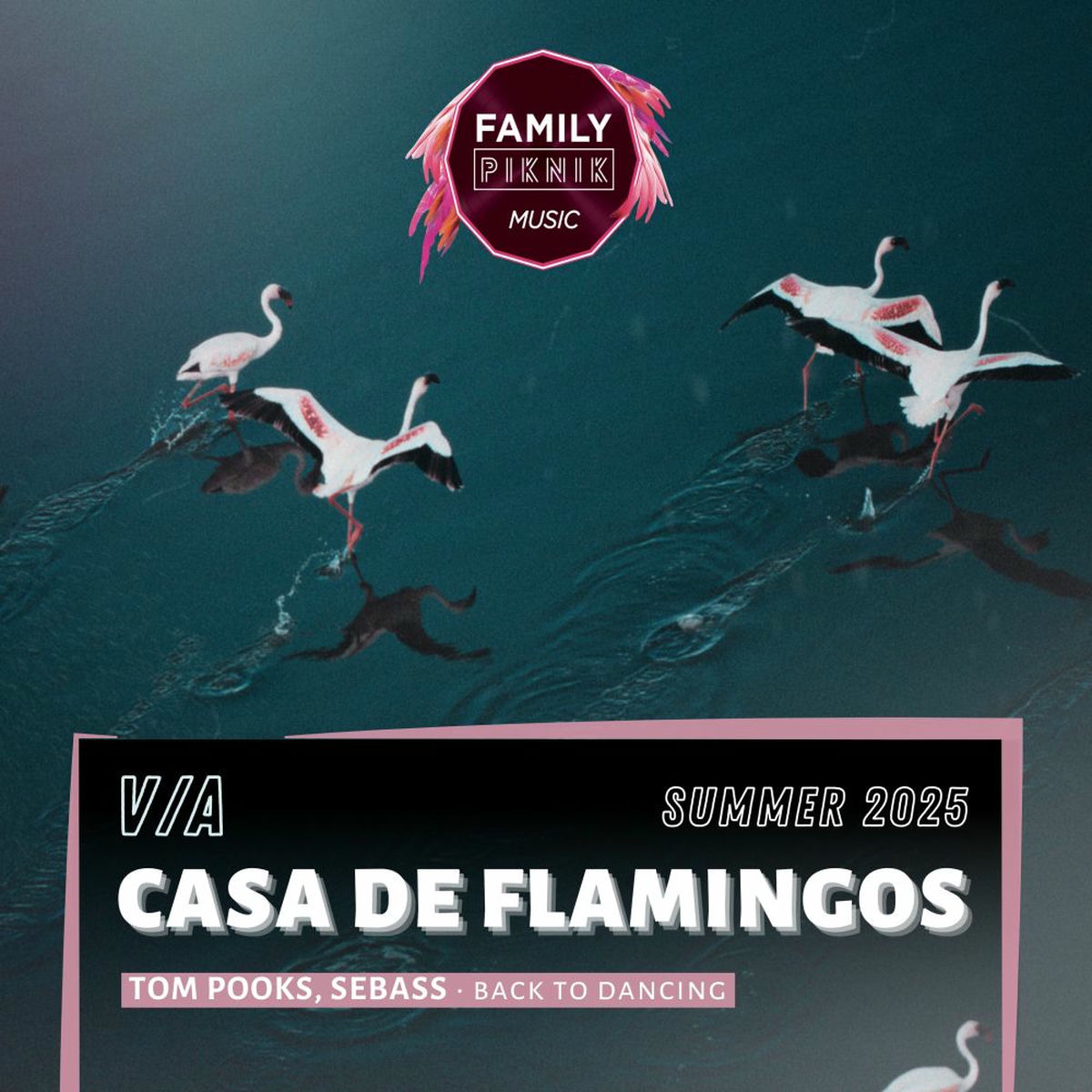 Album cover of Back To Dancing