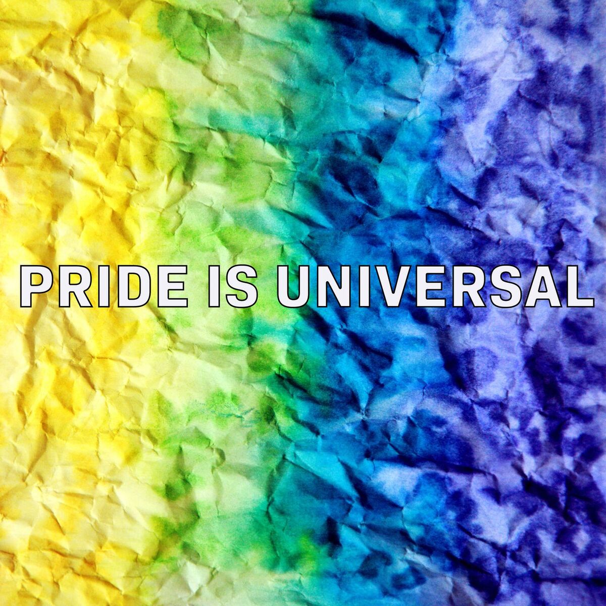 Album cover of Pride Is Universal
