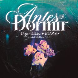 Cover of Antes de Dormir