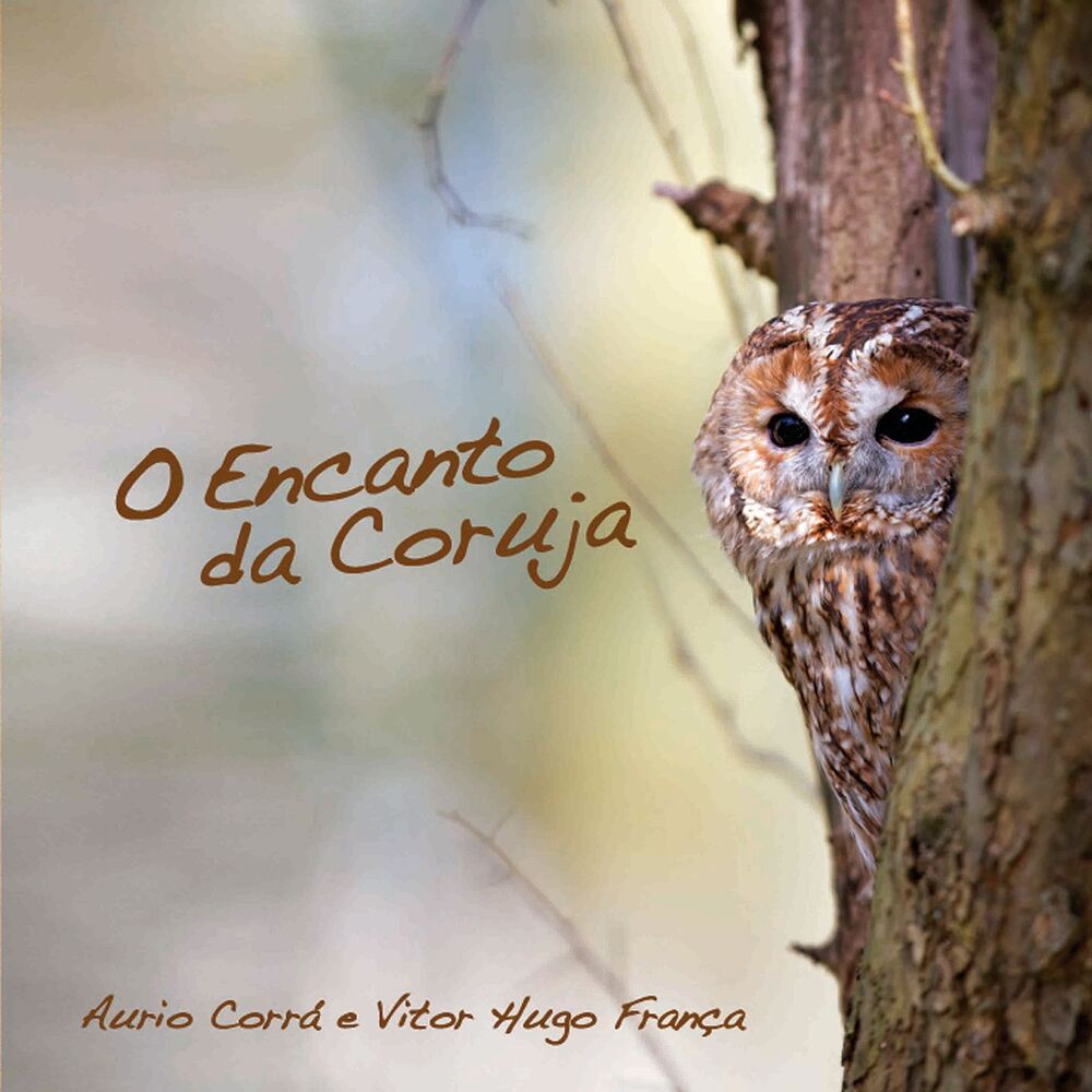 Picture of O Encanto da Coruja