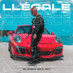 Cover of Llégale