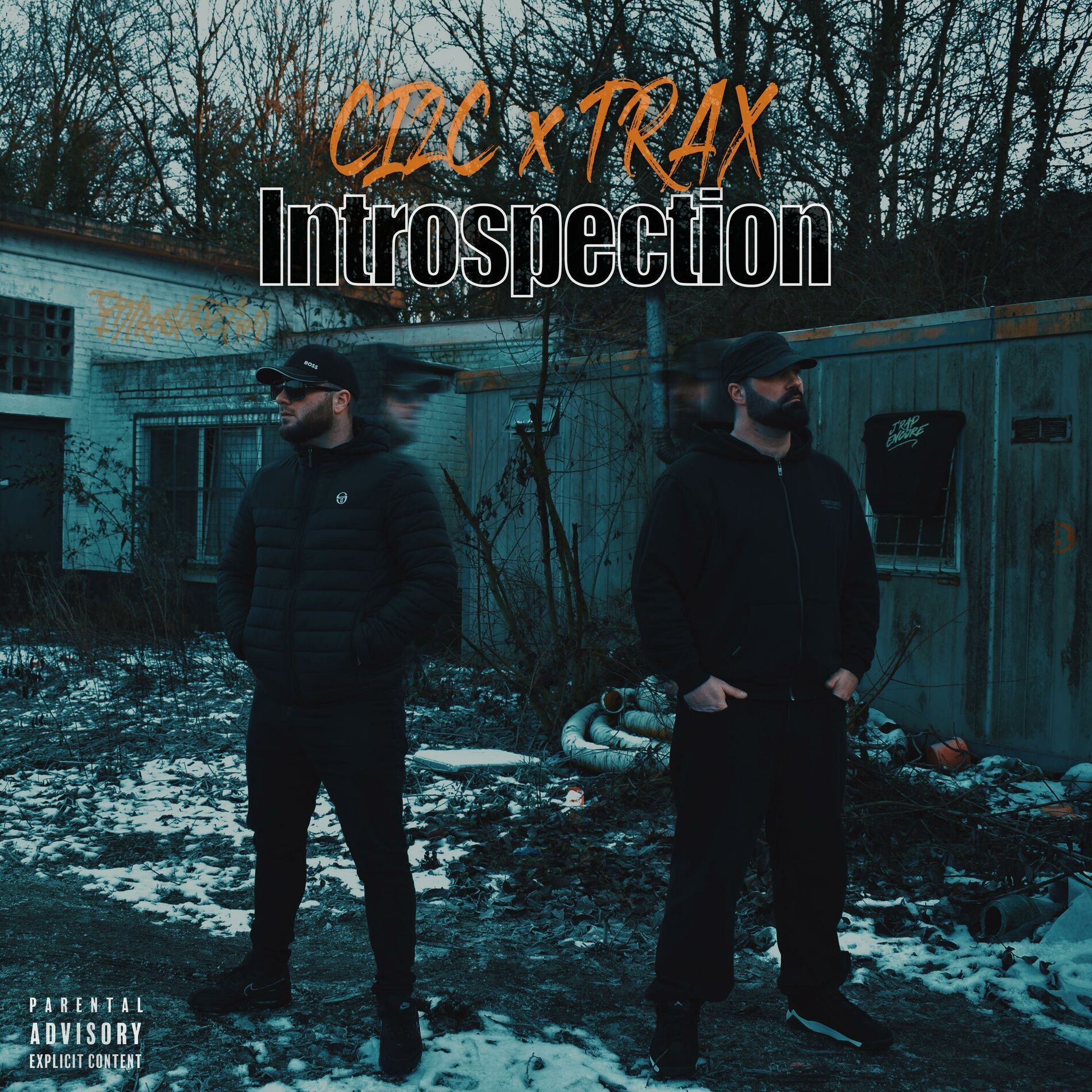 Album cover of Introspection