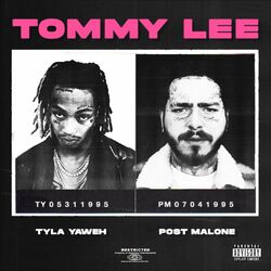 music cover