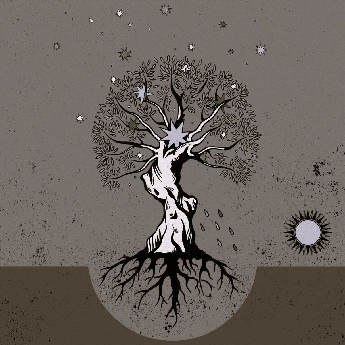 Album cover of Estrelas e raiz (feat. MARO)