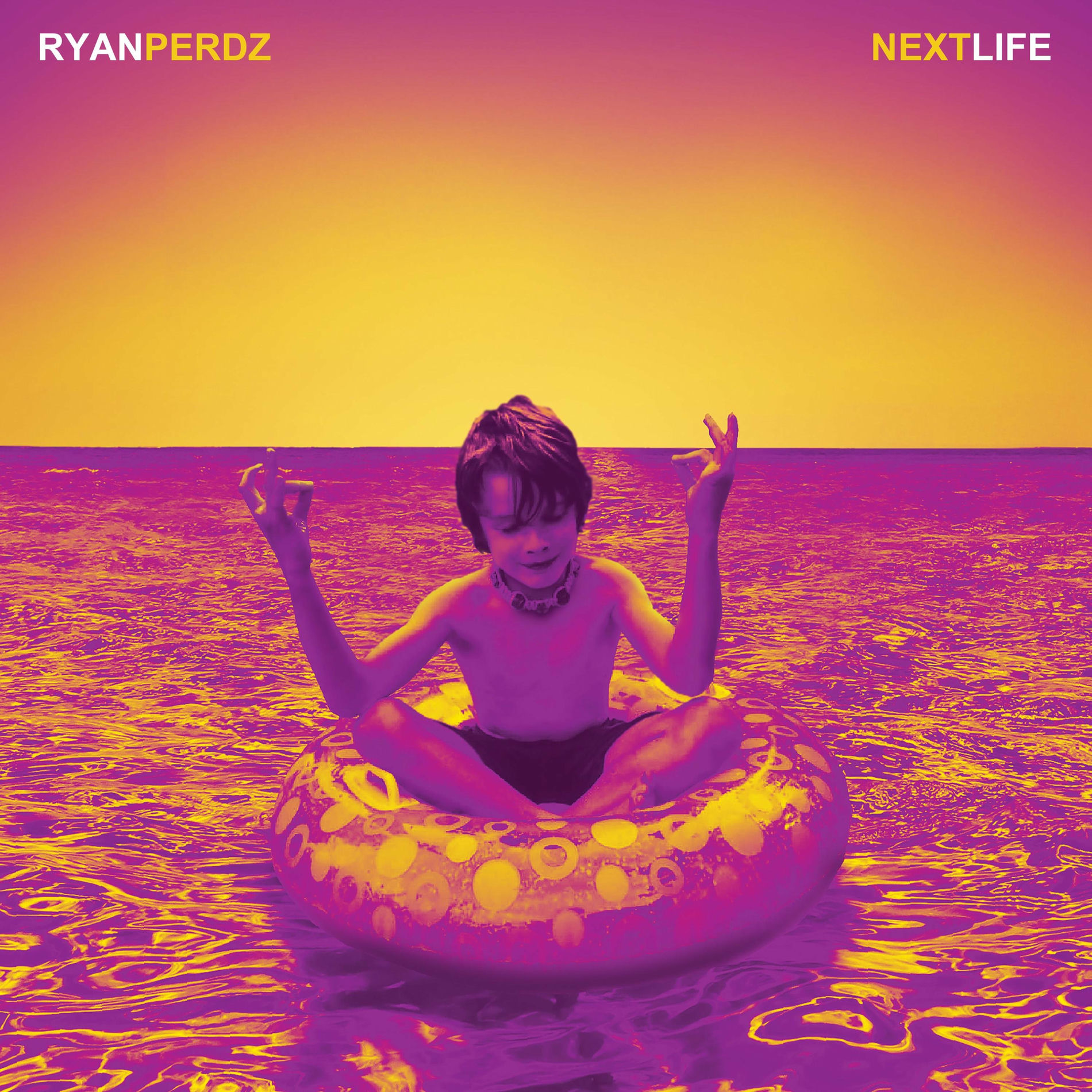 Album cover of Next Life