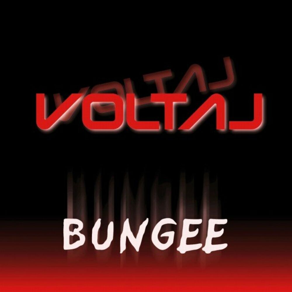 Picture of Bungee