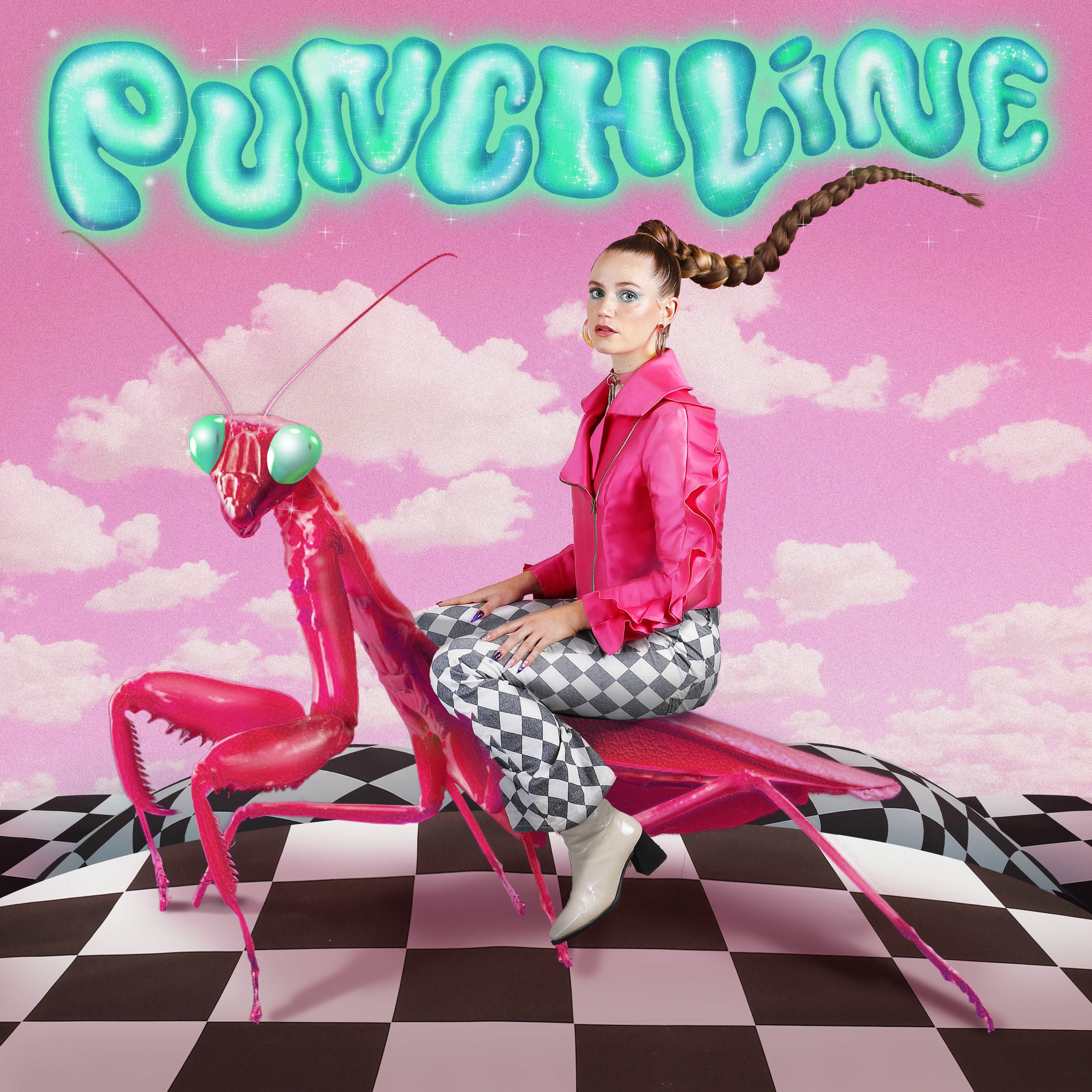 Album cover of Punchline