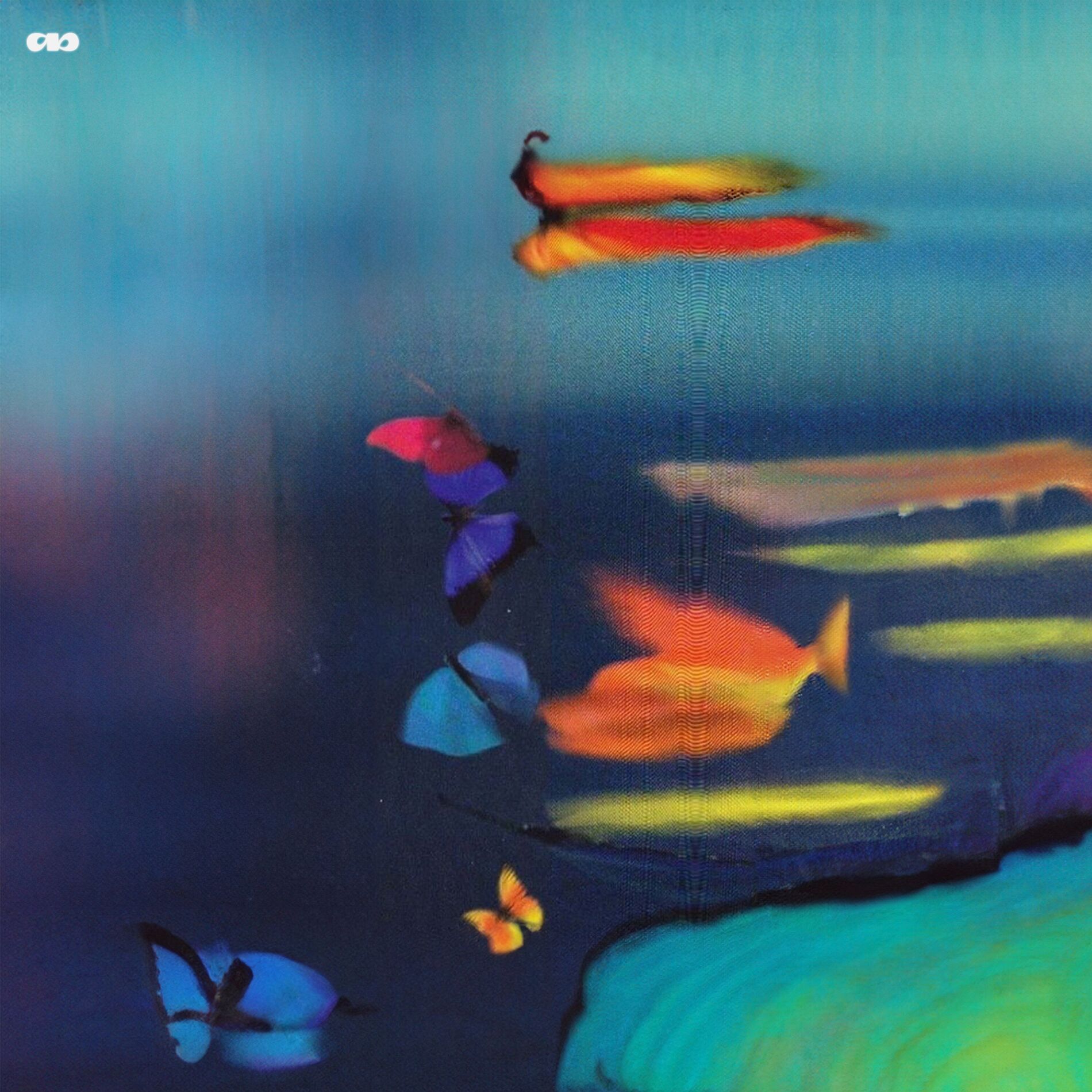 Album cover of Drifted