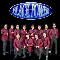 Cover of Black Power