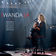 Discussão (Ao Vivo) by Wanda Sá album cover