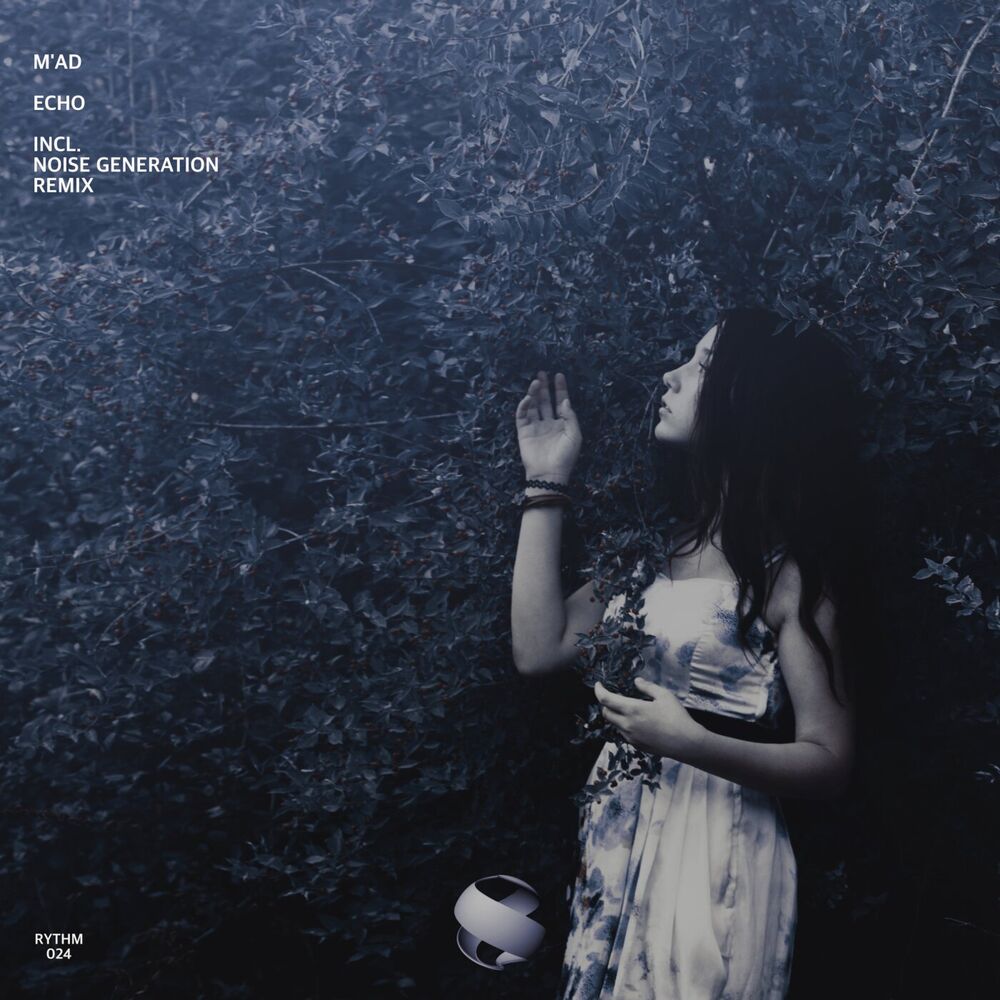 Picture of Echo (Noise Generation Remix)
