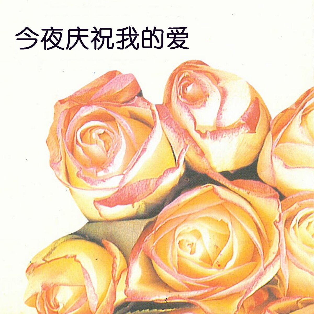 Album cover of 你是我的一切