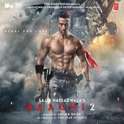 Cover of Baaghi 2