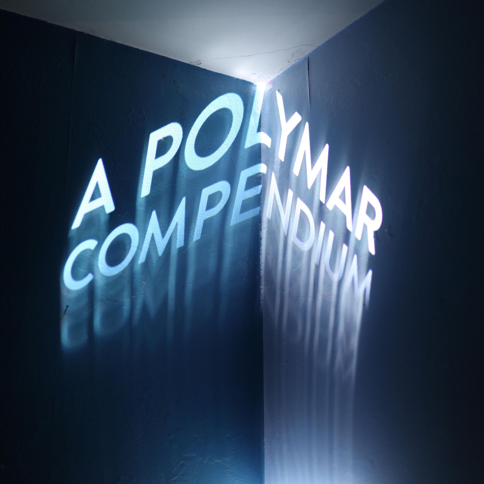 Album cover of A Polymar Compendium