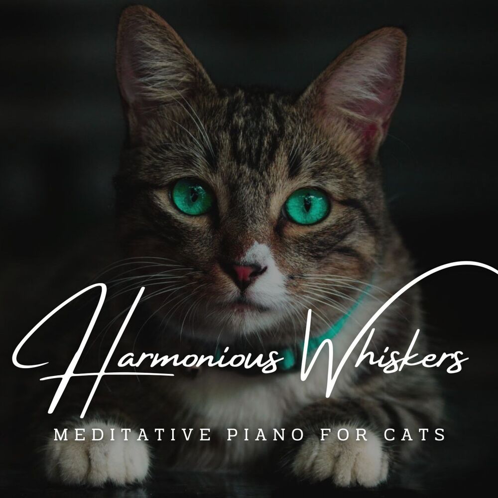 Picture of Harmonious Whiskers: Meditative Piano for Cats