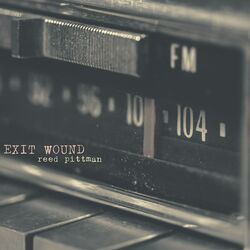 Cover of Exit Wound