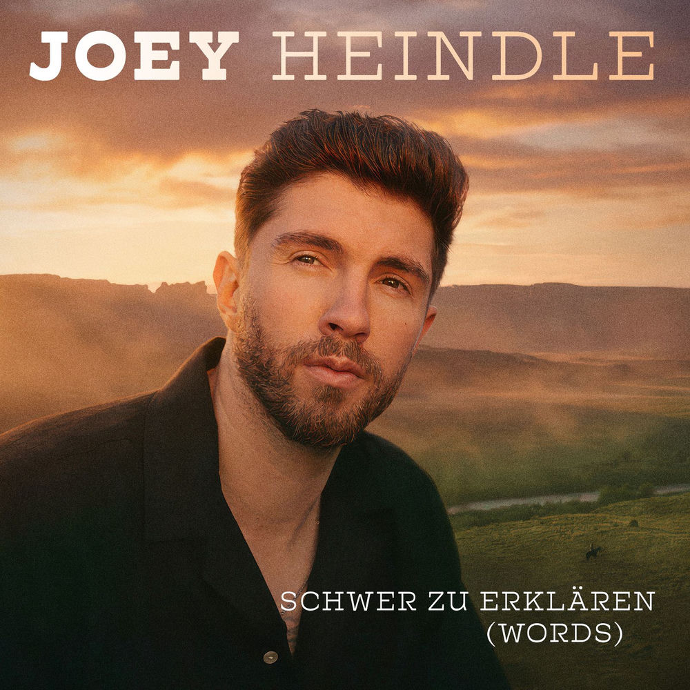 Pochette du titre Schwer zu erklären (Words)