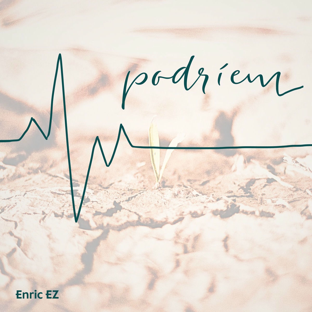 Album cover of Podríem