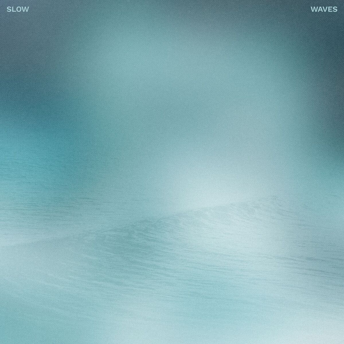 Album cover of Slow Waves
