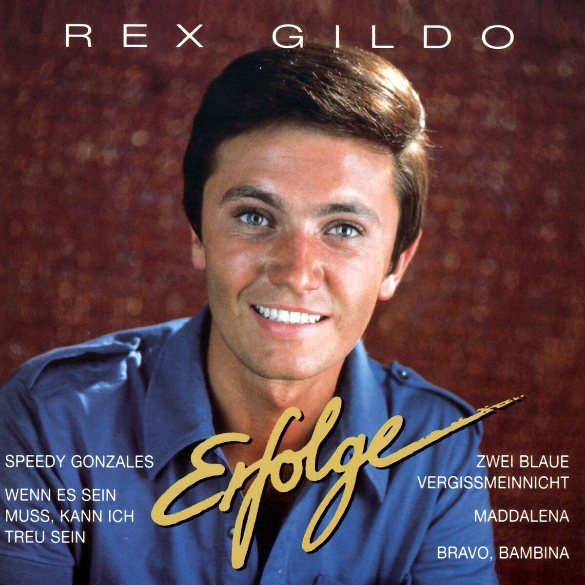Album cover of Erfolge