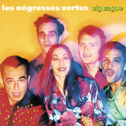 Cover of Zig-Zague