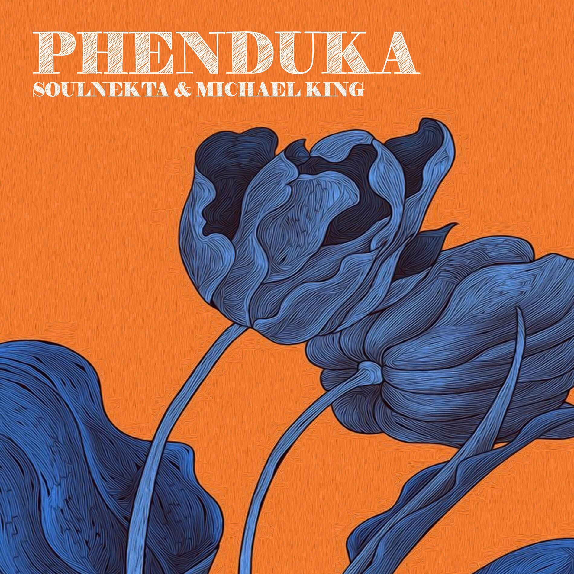 Album cover of Phenduka