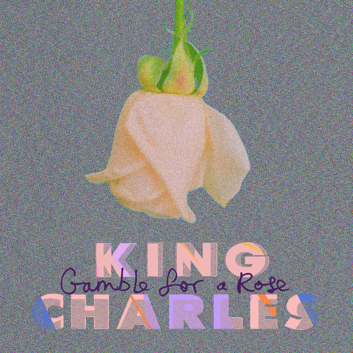 Album cover of Gamble for a Rose