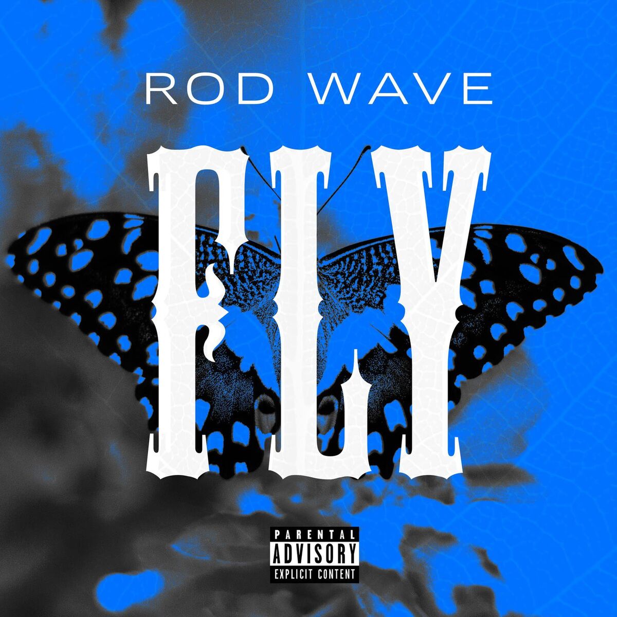 Rod Wave - Fly | Deezer