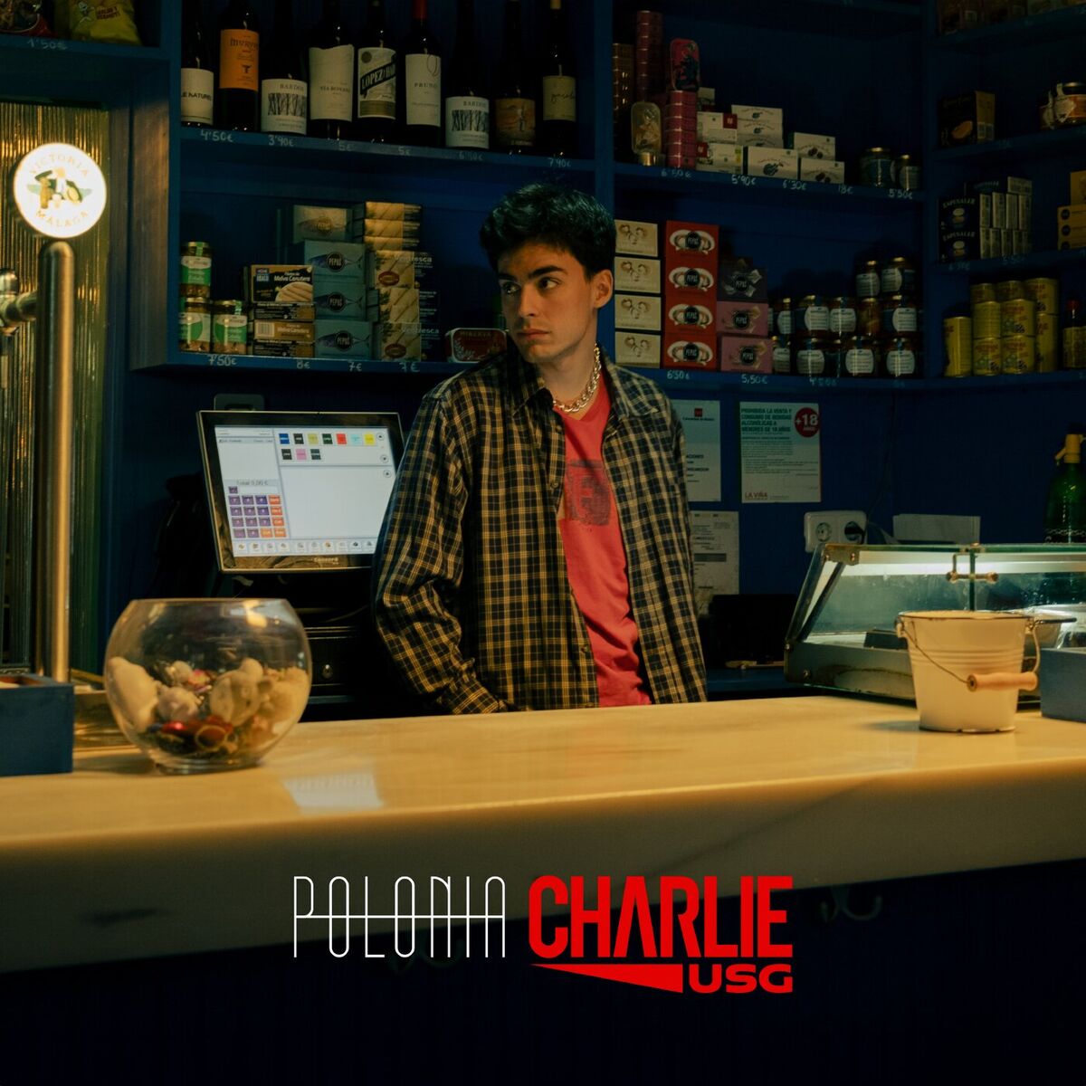 Album cover of Polonia