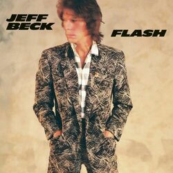 Cover of Flash
