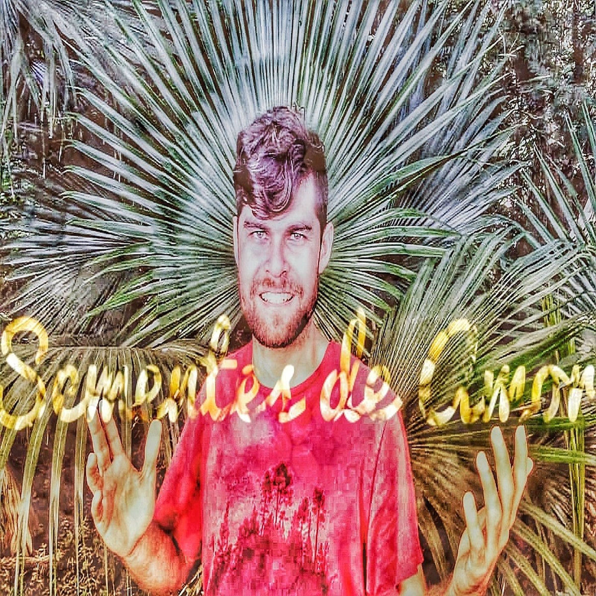 Album cover of Sementes De Amor
