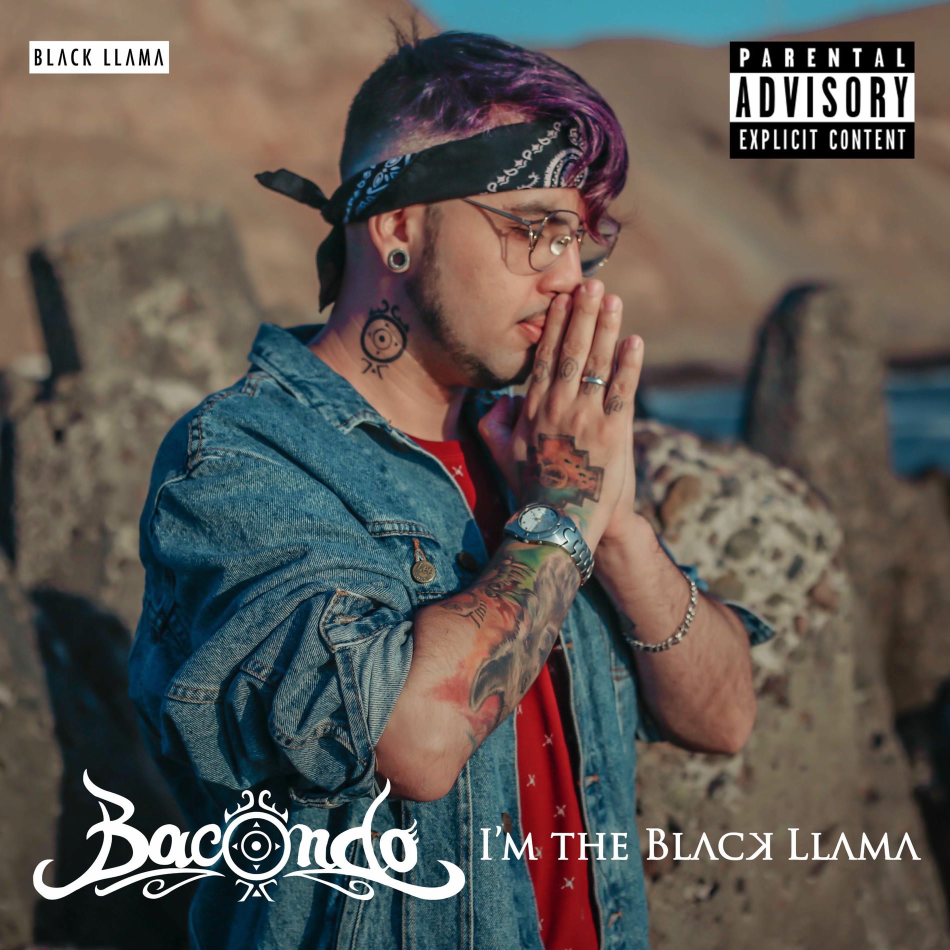 Album cover of I'm The Black Llama